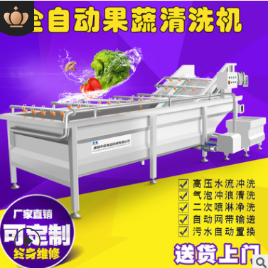 現(xiàn)貨果蔬氣泡清洗機 全自動凈菜設(shè)備蔬菜清洗機 學(xué)校食堂洗菜機