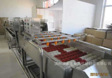 供應不銹鋼紅棗清洗機 紅棗清洗生產線 廠價直銷紅棗選果機