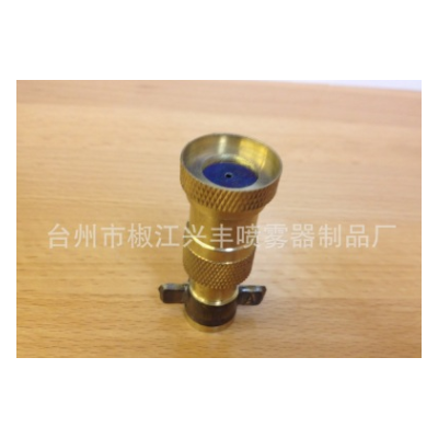 ptt-20噴霧器配件 電動噴霧器噴頭 銅單噴頭（小）