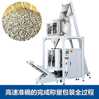 精威自升斗大重量5升線性定量秤高速計數(shù)秤五谷雜糧炒貨食品秤