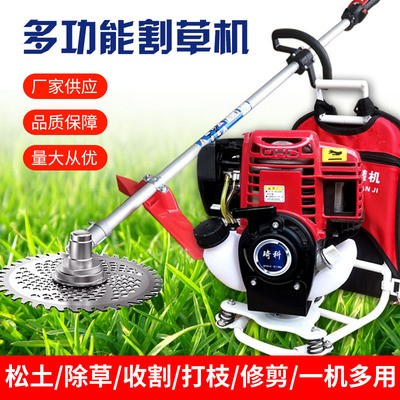 背負式割草機草坪剪草二沖四沖小型農用除草機大功率草坪機