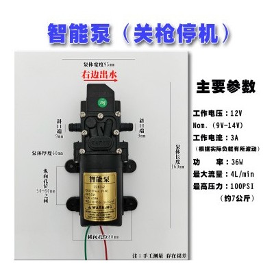 廠家直銷12V隔膜泵智能壓力泵3000轉(zhuǎn)高壓力電動(dòng)噴霧器水泵20W40W