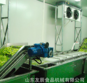 草菇蘑菇清洗機(jī) 油菜西藍(lán)花渦流清洗機(jī) 茄子凈菜深加工清洗加工廠