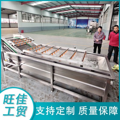不銹鋼全自動果蔬清洗線 高壓氣泡清洗機(jī) 油麥菜金針菇清洗設(shè)備