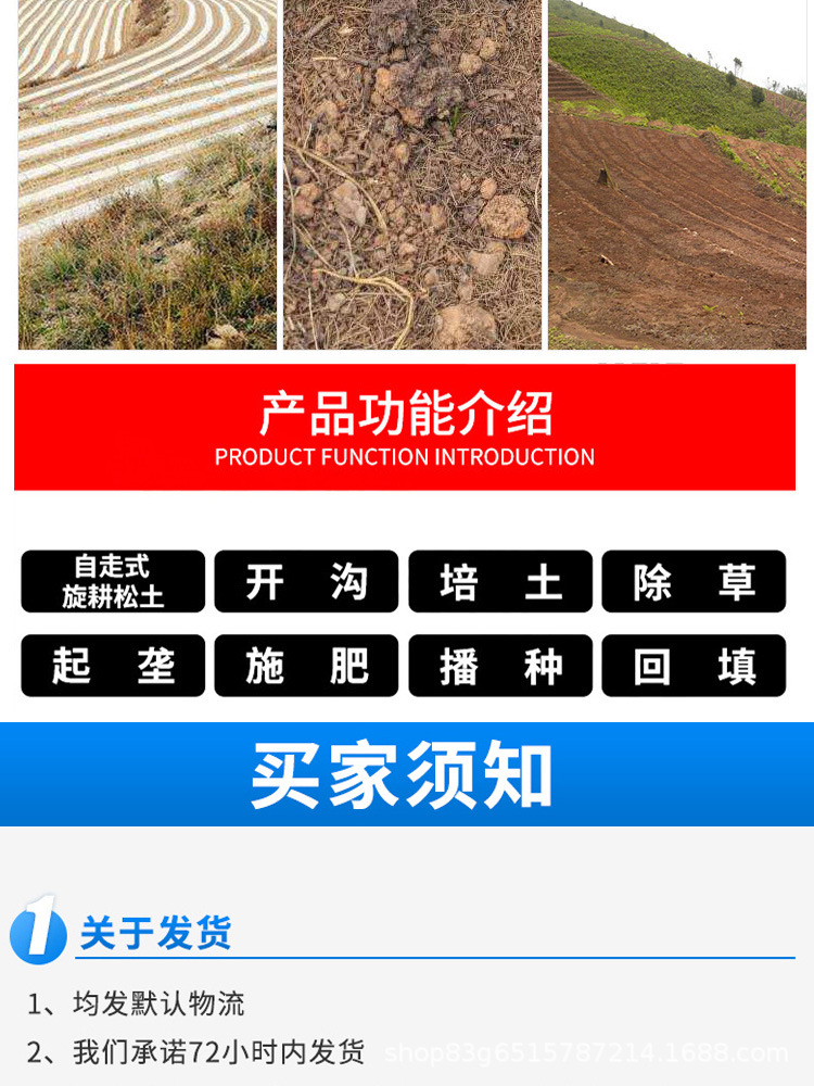 詳情 (12)