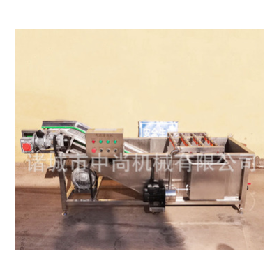 油菜菠菜清洗機 商用車厘子果蔬氣泡清洗設(shè)備 小米辣椒氣泡清洗機