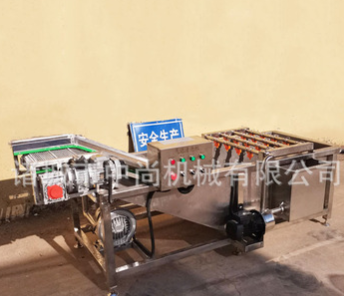 蔬菜水果清洗機(jī) 全自動中藥材清洗設(shè)備 獼猴桃翻滾高壓氣泡清洗機(jī)
