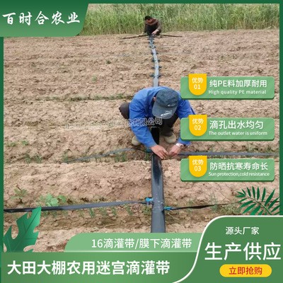 迷宮滴灌帶價格優(yōu) 廠家生產(chǎn)供應(yīng)膜下大田溫室農(nóng)用迷宮式16滴水帶