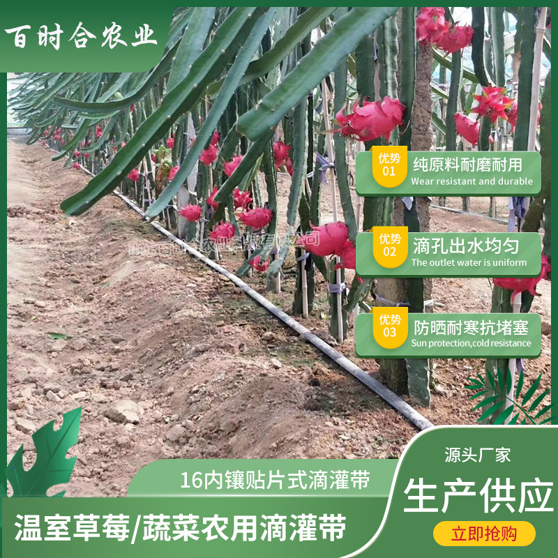 內(nèi)鑲貼片式滴灌帶規(guī)格山東百時(shí)合農(nóng)業(yè)科技有限公司