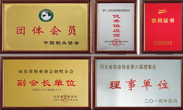 榮譽證書