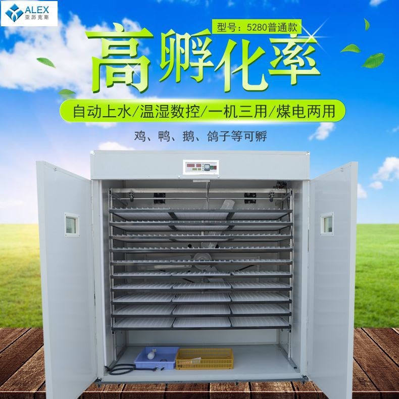 大型智能恒溫孵化機 5280工業機孵卵器 全自動雞鴨鴿子孵蛋器配件