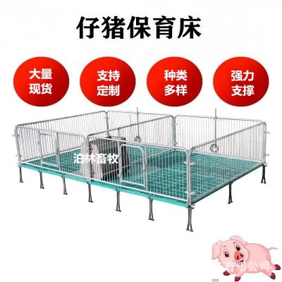 現貨批發母豬產床仔豬保育床小豬保育床熱鍍鋅保育床豬用養殖設備