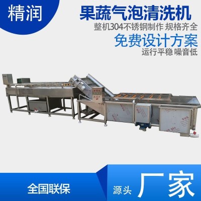 精潤水果分級清洗機 杏子桃子清洗機 農(nóng)業(yè)項目設(shè)備