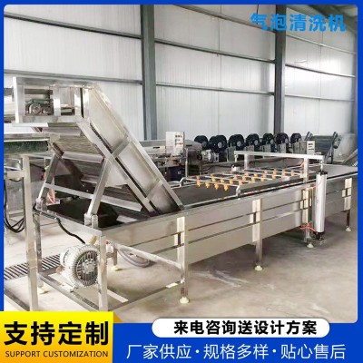 精潤制造海帶清洗機 鼓泡式噴淋式海蜇清洗機海產(chǎn)品清洗流水線