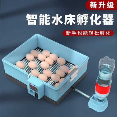 通達仿生水床孵化機 家用型20枚孵化器迷你泡沫水床 全自動孵蛋器