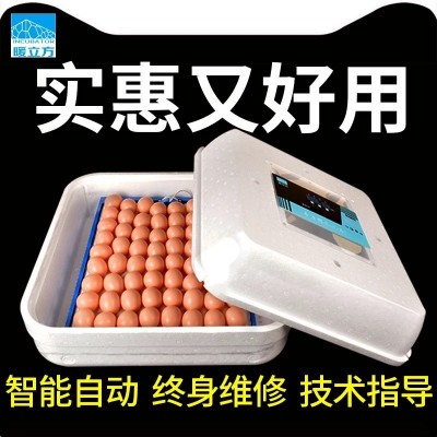 暖立方廠家長期供應批發小型全自動孵化機家用型孵化器小雞孵化器