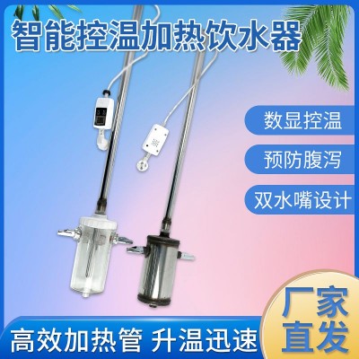 仔豬恒溫加熱飲水器自動(dòng)恒溫自動(dòng)加熱熱水器養(yǎng)豬設(shè)備產(chǎn)床保育床
