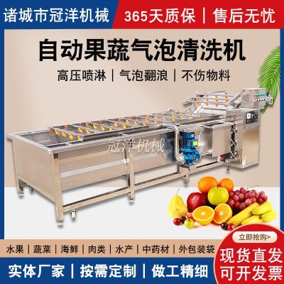 大型水果蔬菜清洗機 腌黃瓜醬菜脫鹽清洗去雜設備 凈菜加工流水線