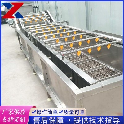 全自動(dòng)果蔬清洗機(jī) 藍(lán)莓粽葉清洗設(shè)備 不銹鋼氣泡清洗機(jī) 洗菜機(jī)