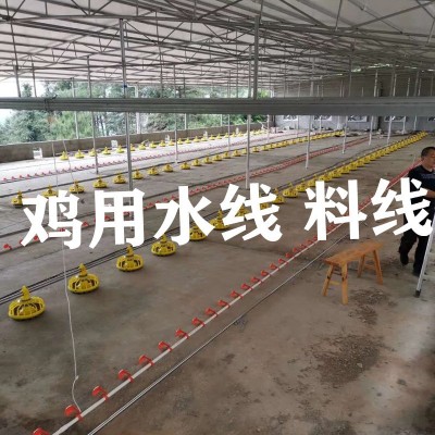 雞用自動水線 肉雞料線 散養(yǎng)雞自動水線 料線 雞用水線 雞用料線