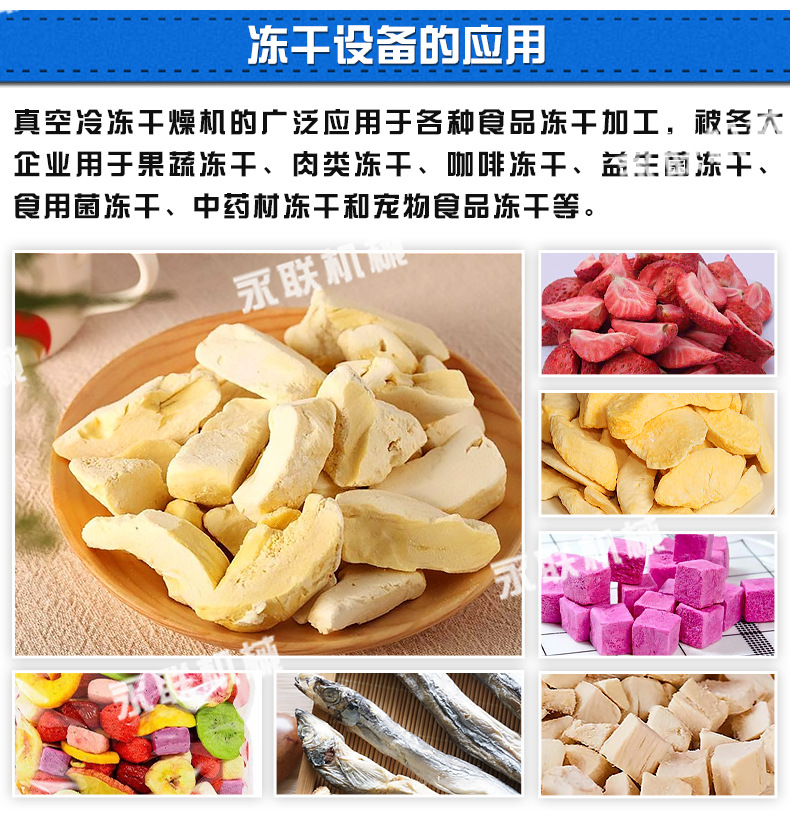 永聯凍干機_04.jpg