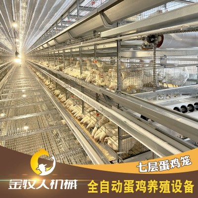 七層蛋雞籠 自動化層疊蛋雞籠 養(yǎng)雞設(shè)備籠具養(yǎng)殖廠家供應(yīng)