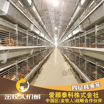 大量批發(fā)雞籠 小雞籠育雛籠 自動化養(yǎng)殖籠具 雞苗育雛籠子