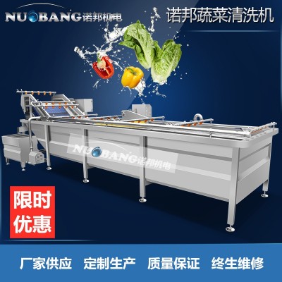 廠家銷售檸檬片清洗機(jī) 全自動氣泡噴淋果蔬清洗機(jī) 藍(lán)莓果洗果機(jī)