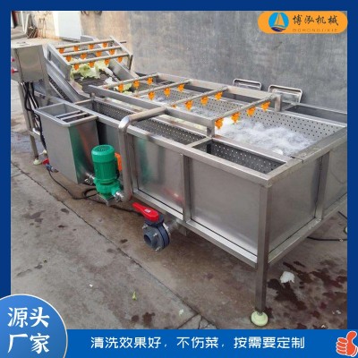 多功能不銹鋼氣泡清洗機(jī) 果蔬清洗設(shè)備 白菜胡蘿卜高壓噴淋清洗機(jī)