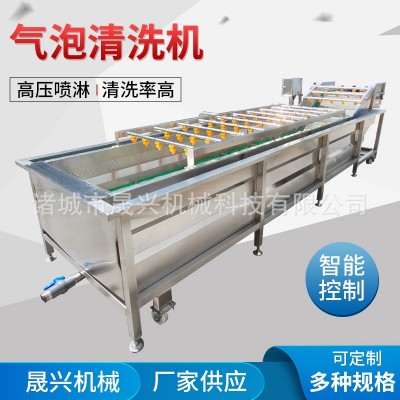 定制全自動(dòng)氣泡清洗機(jī) 白菜萵筍氣泡清洗設(shè)備 高壓噴淋大姜洗菜機(jī)