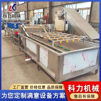 毛豆氣泡果蔬清洗機 多功能酸菜脫鹽清洗機 辣椒噴淋清洗機器
