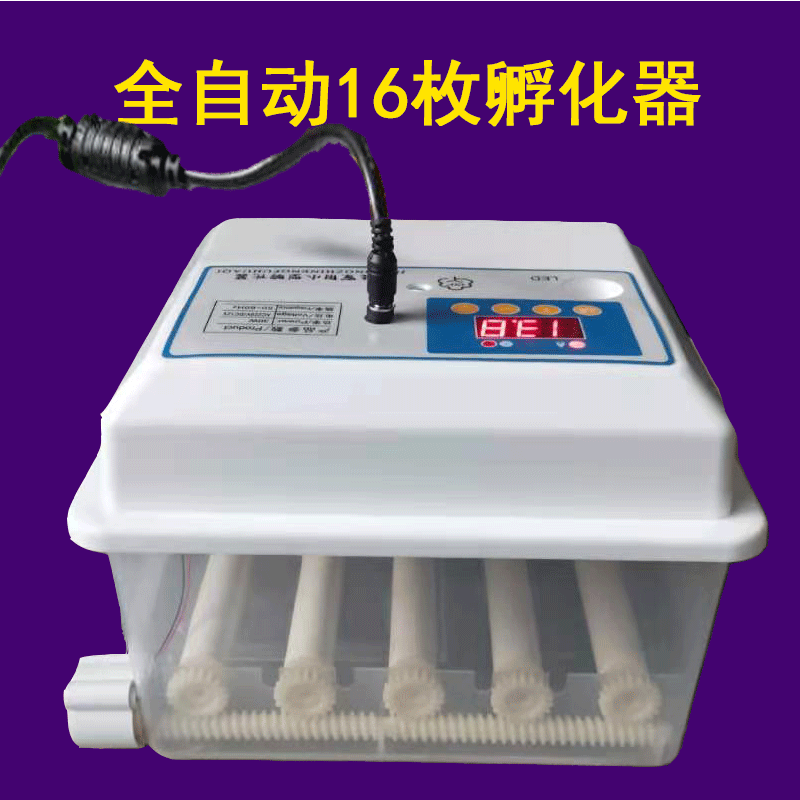 批發(fā)雙電源小雞孵化器全自動雞蛋孵化機家用多模式智能孵蛋器