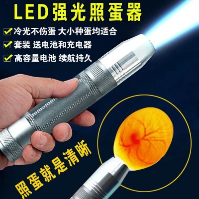 孵蛋檢查種蛋發育 孵化選蛋照蛋器 孵化機用照蛋儀 LED冷光照蛋燈