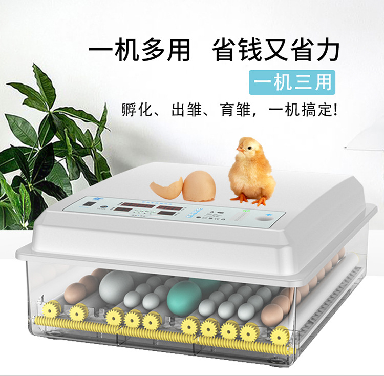 白殼詳情1_05