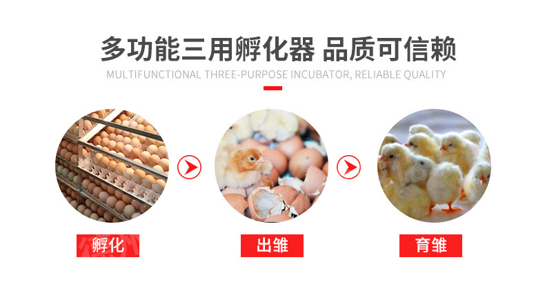 水床產品信息.jpg