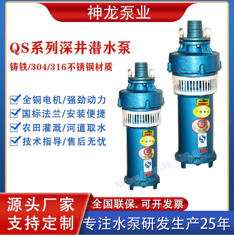 神龍大流量高揚程QS深井潛水泵水浸式觀景井用農用噴泉潛水泵380V