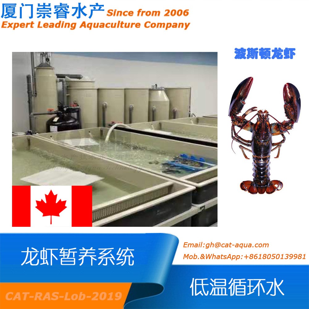 加拿大工廠化室內循環水龍蝦低溫暫養項目循環水產養殖水處理設備