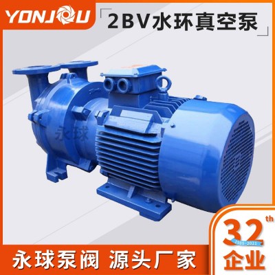 2BV水環(huán)式真空泵循環(huán)水真空泵真空泵機(jī)組廠家直銷