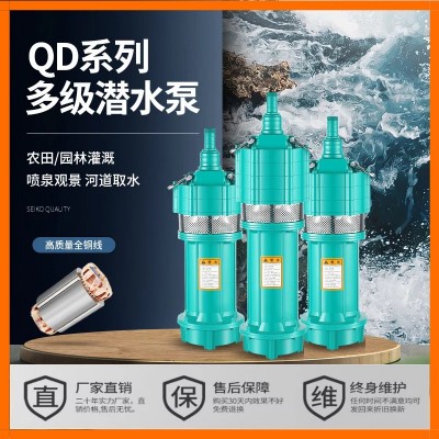 QD多級潛水泵高揚(yáng)程深井油浸式清水泵小老鼠農(nóng)用灌溉大流量抽水泵