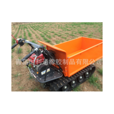 農(nóng)用履帶運(yùn)輸車 ED500B 丘陵山地運(yùn)輸 雪地轉(zhuǎn)運(yùn)車