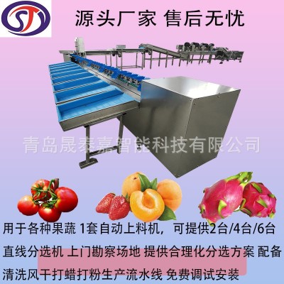 全自動選果機 水果重量分選機 直線滾輪果蔬分級機 源頭生產廠家