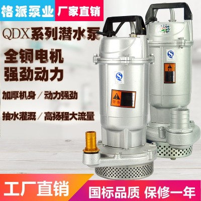 家用單相潛水泵220V高揚程抽水泵大流量小型水泵農用灌溉井水澆地
