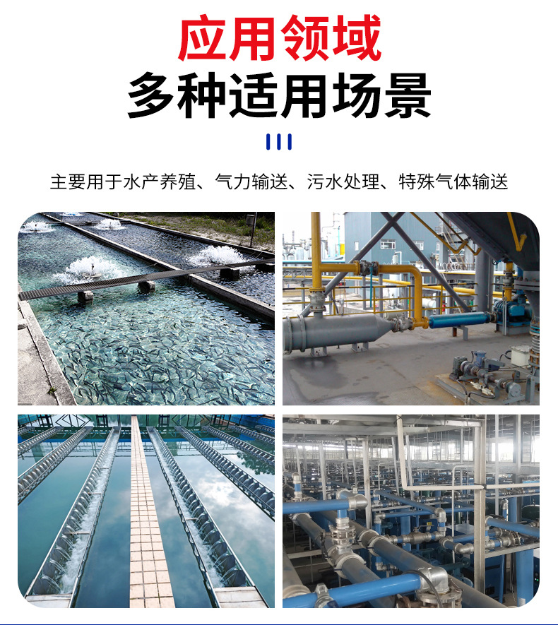 羅茨風機_10