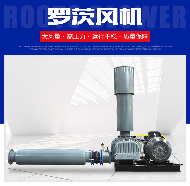 羅茨風機_02