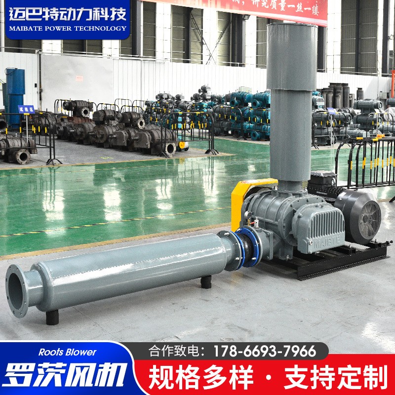 羅茨鼓風(fēng)機 魚塘增氧曝氣風(fēng)機高速大風(fēng)量 魚塘養(yǎng)殖設(shè)備增氧機