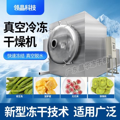 領創晶華凍干機加工大型真空冷凍干燥機設備中藥水果蔬菜寵物商用