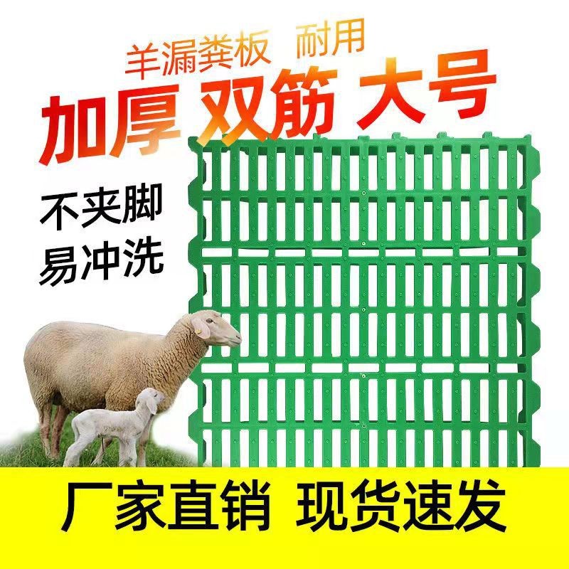 60*60羊用漏糞板廠家批發羊床板豬羊漏糞板羊舍糞板 塑料羊糞板