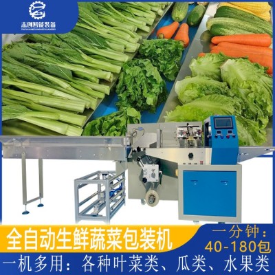 工廠現(xiàn)貨全自動蔬菜包裝機 豆芽胡蘿卜香蕉套袋打包機 水果包裝機
