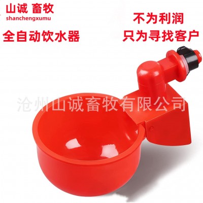 新型雞鴨鵝自動飲水碗飲水器喂鴿子水碗鳥飲水器鵪鶉家禽養殖設備