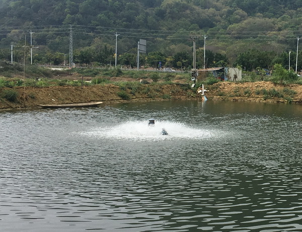 純氧增氧器1.jpg